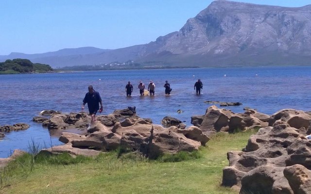 Gansbaai Drowning at Wortelgat_1